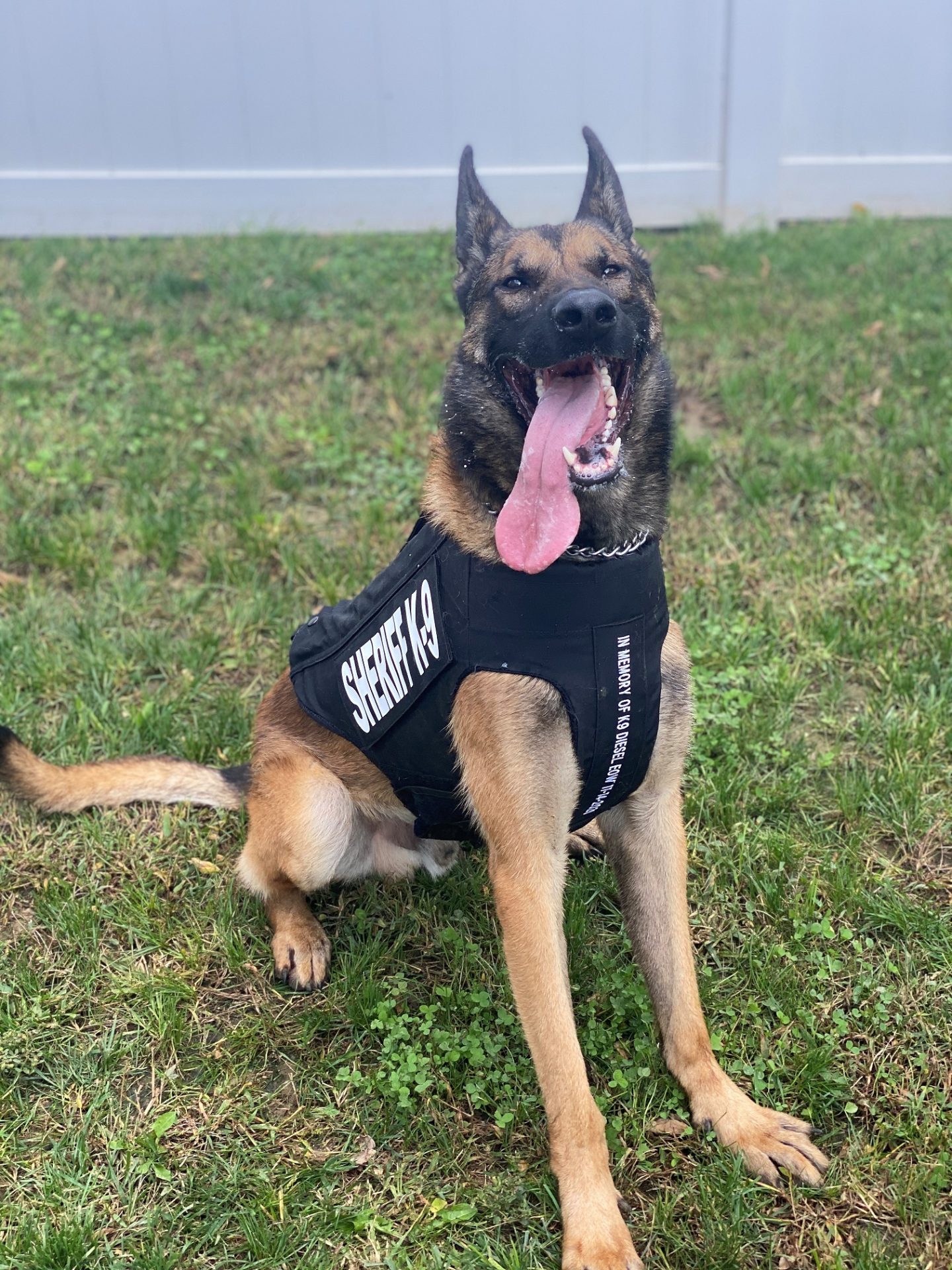 Body armor for Bartholomew County Sheriff K9 officer WTRE Radio